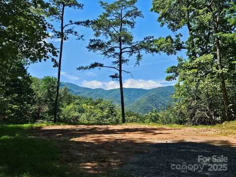 Blue Vista Road unit: 1, Canton, NC 28716