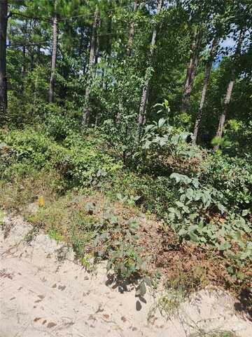 2340 Camp Road, Bethune, SC 29009