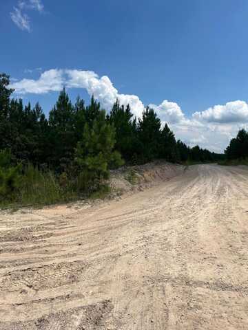 Bff 2b Brunson Teal Road, Patrick, SC 29584