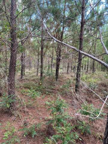 Bff 3b Brunson Teal Road, Patrick, SC 29584