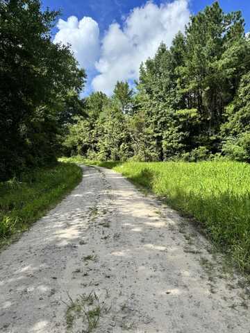 1326 Burr Hill Road, Cottageville, SC 29435