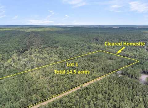 Lot 1 Silas Road, Mc Clellanville, SC 29458