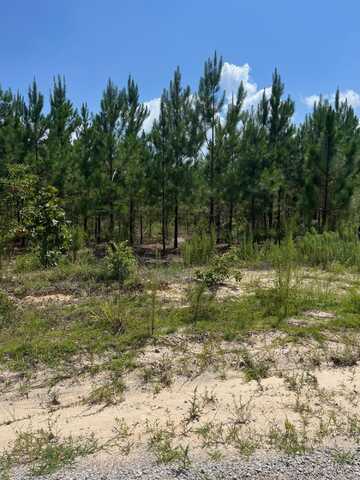 Bff 1c Brunson Teal Road, Patrick, SC 29584