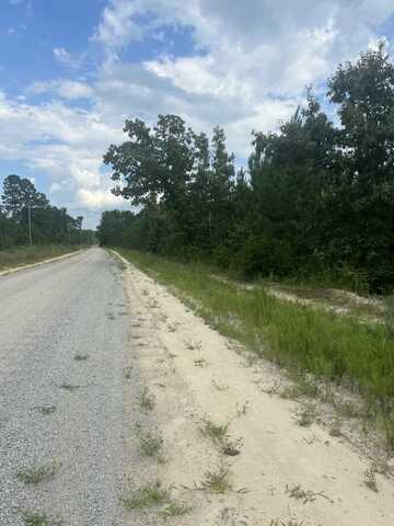 Bff 1d Brunson Teal Road, Patrick, SC 29584