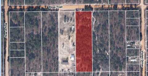 TBA ROSE TRAIL, INTERLACHEN, FL 32148