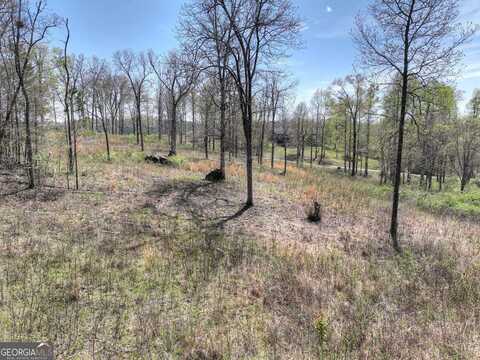 6 Arbor Creek TRL 6, Mineral Bluff, GA 30559