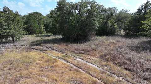 00 Sue Lane, Somerville, TX 77879