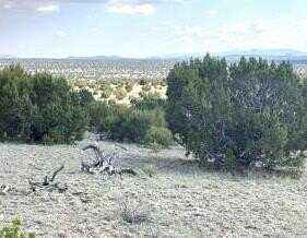 Lots 154,155,156 Pinon Springs, Magdalena, NM 87825