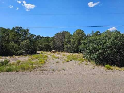 147 SUNDANCE KID, Edgewood, NM 87015