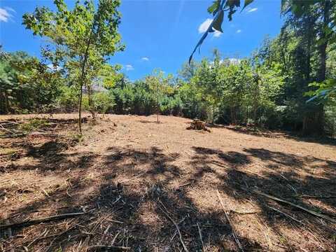 6389 WINDSOR Drive, Acworth, GA 30102