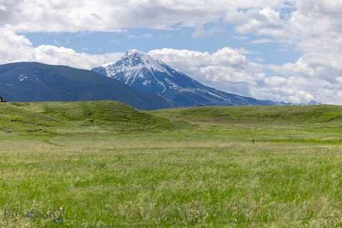 Chicory Road, Livingston, MT 59047