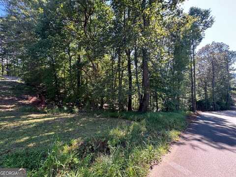 2.5 Ac Mango, Ellijay, GA 30540