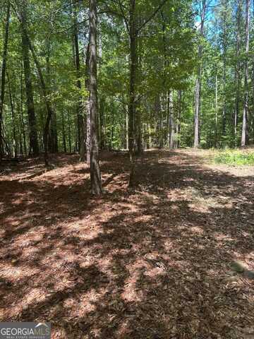 1144 Wolfskin, Arnoldsville, GA 30619