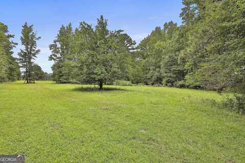 Lot 2 Ellison Road - 12.88 Acres, Tyrone, GA 30290
