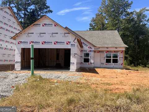 226 WL Miller, Jackson, GA 30233