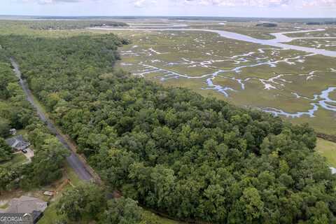0 Sheffield Island, Woodbine, GA 31569