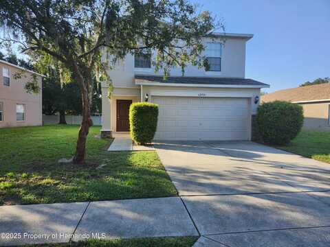 12431 White Bluff Road, Hudson, FL 34669