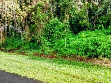OOPU ST, Pahoa, HI 96778