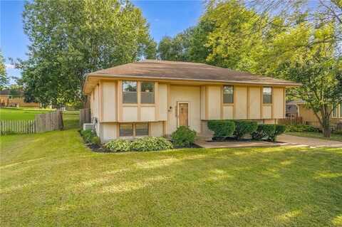 1311 NE 113TH Terrace, Kansas City, MO 64155