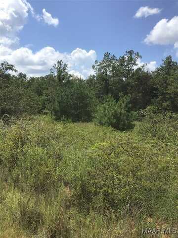 County Road 43, Prattville, AL 36067
