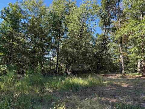 END OF IVY LN OFF HARRIS, Adamsville, TN 38310