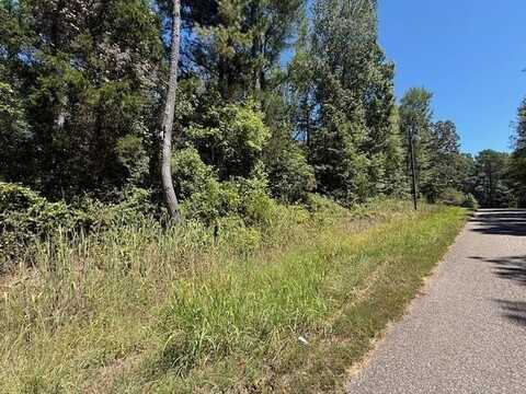 TRACK 2 KENDRICK/GIN, Michie, TN 38357