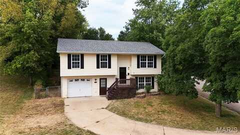 300 Valley Place, De Soto, MO 63020
