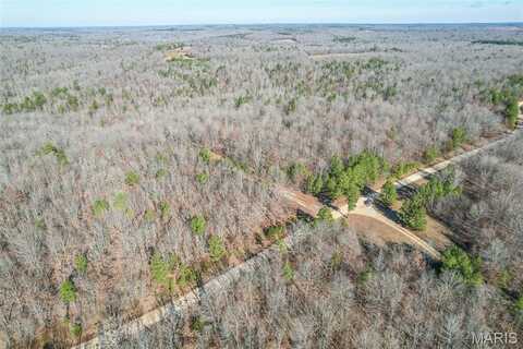 0 Ripley BB-2, Grandin, MO 63943