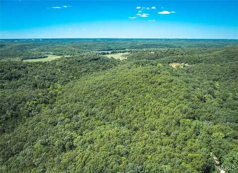 57.65 Acres Private Drive 8498, Newburg, MO 65550