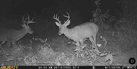 undefined, Bland, MO 65014
