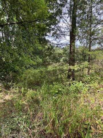 undefined, Bland, MO 65014