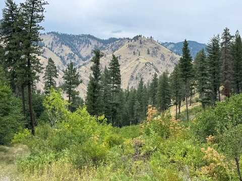 Salmon River Road, Riggins, ID 83549