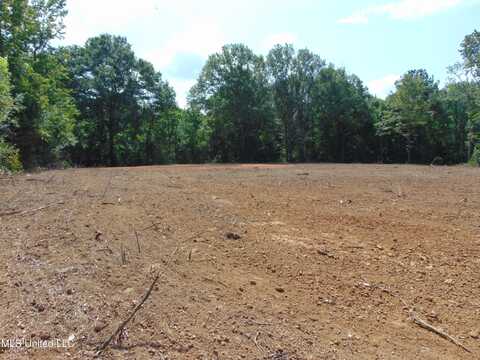 1015 Tarver Lane, Wesson, MS 39191