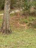 251 Saint Paul Road, Sandy Hook, MS 39443
