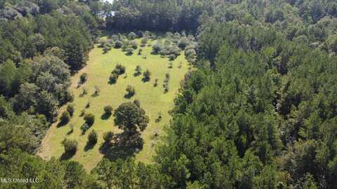 Ben Byrd Road, Lumberton, MS 39455