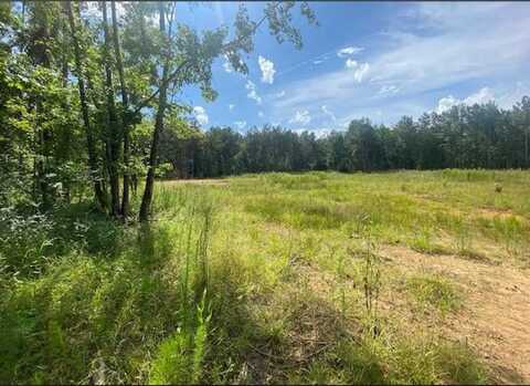 tbd Saint Paul Road, Columbia, MS 39443