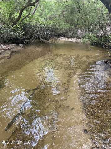 10.35 Ac Barton Agricola Road, Lucedale, MS 39452
