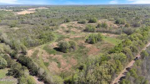 Hogfoot Road, Senatobia, MS 38668