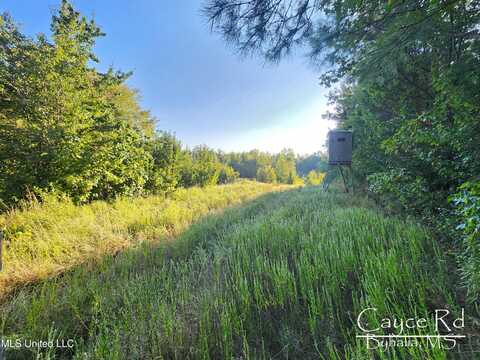 Cayce Road, Byhalia, MS 38611