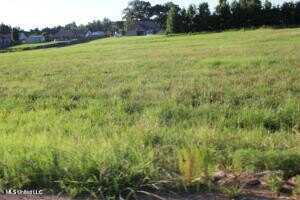 4 Chapel Hill Subdivision, Holly Springs, MS 38635