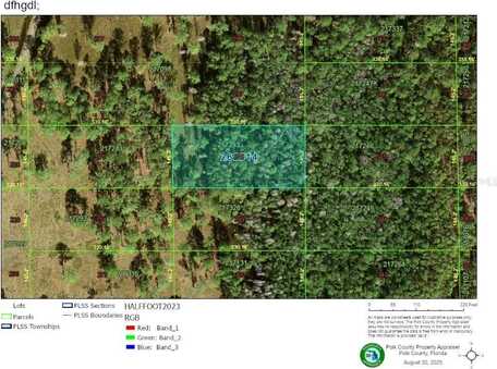 NO NAME ROAD, POLK CITY, FL 33868