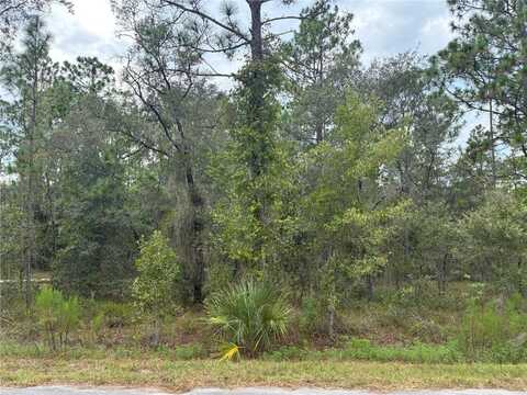REDWING ROAD, DUNNELLON, FL 34430
