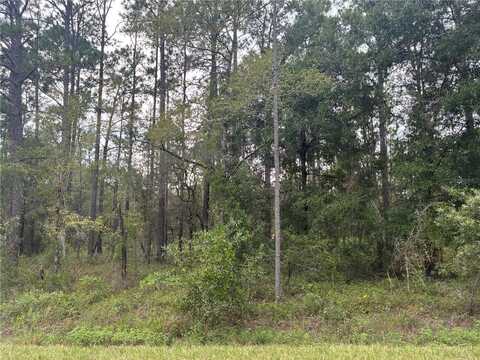 NW REDWOOD, DUNNELLON, FL 34430