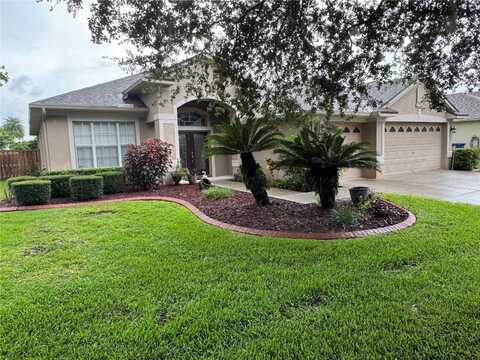 22446 EAGLES WATCH DRIVE, LAND O LAKES, FL 34639