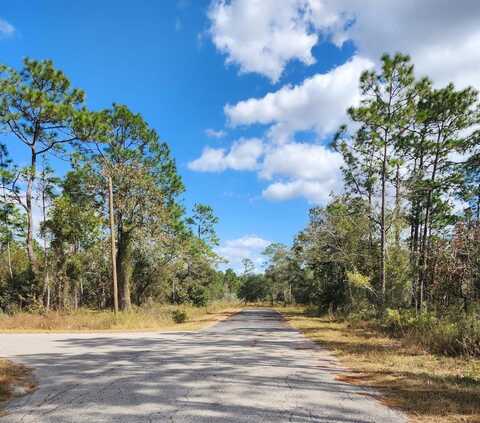 0 SW WOODLAND, DUNNELLON, FL 34433