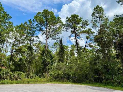 Lot 3 TAMARAC STREET, EUSTIS, FL 32736
