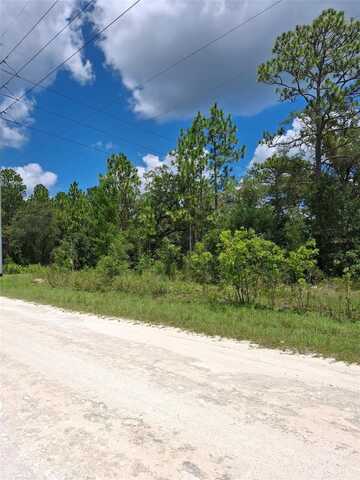 14020 CEDARWOOD AVENUE, WEEKI WACHEE, FL 34614