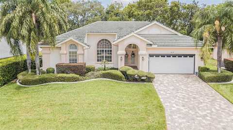 419 MISTWOOD COURT, SPRING HILL, FL 34609