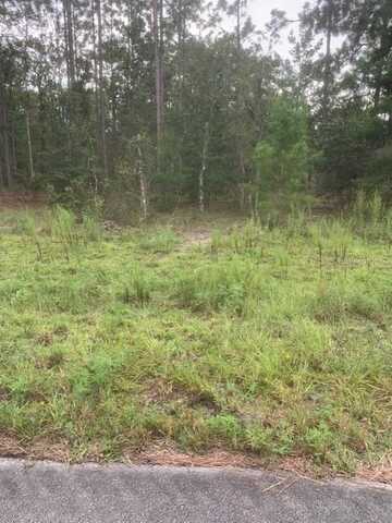 NW GERANIUM AVENUE, DUNNELLON, FL 34431