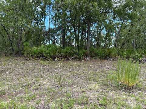 1195 W HAMPSHIRE BOULEVARD, CITRUS SPRINGS, FL 34434